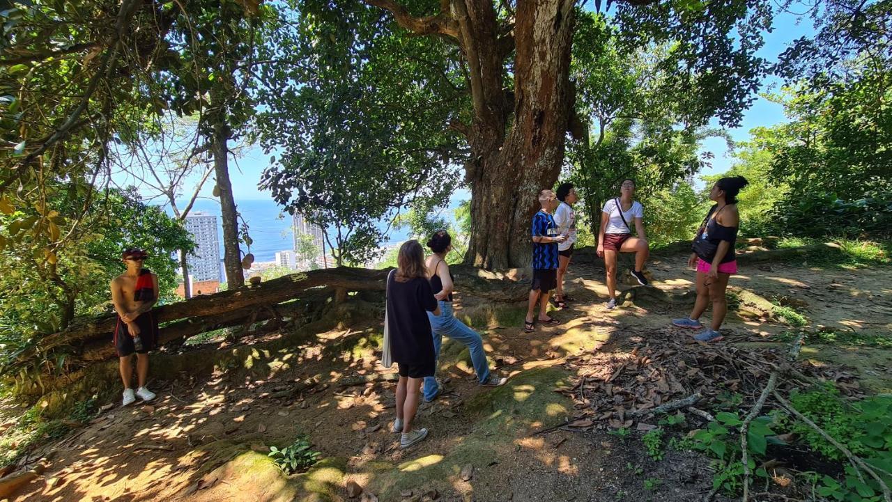 Eco Pousada Estrelas Da Babilonia Rio de Janeiro Bagian luar foto